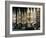 Waterfront at Bryggen, Bergen, Norway-Doug Pearson-Framed Photographic Print