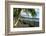 Waterfront of Papeete, Tahiti, Society Islands, French Polynesia, Pacific-Michael Runkel-Framed Photographic Print