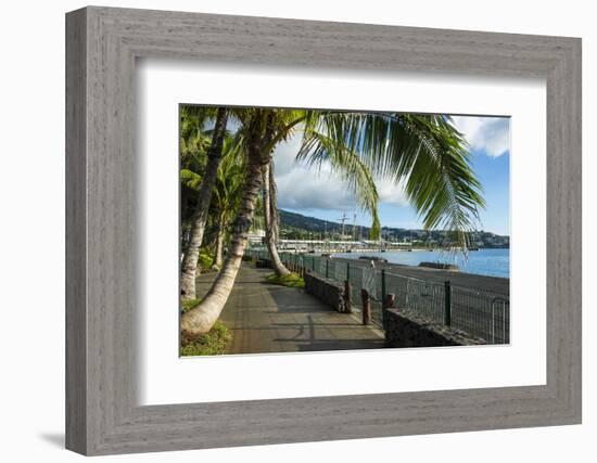 Waterfront of Papeete, Tahiti, Society Islands, French Polynesia, Pacific-Michael Runkel-Framed Photographic Print