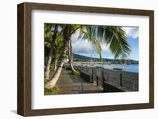 Waterfront of Papeete, Tahiti, Society Islands, French Polynesia, Pacific-Michael Runkel-Framed Photographic Print