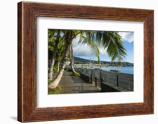 Waterfront of Papeete, Tahiti, Society Islands, French Polynesia, Pacific-Michael Runkel-Framed Photographic Print
