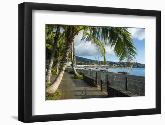 Waterfront of Papeete, Tahiti, Society Islands, French Polynesia, Pacific-Michael Runkel-Framed Photographic Print