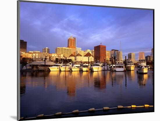 Waterfront of the Willamette River, Portland, Oregon, USA-Janis Miglavs-Mounted Photographic Print