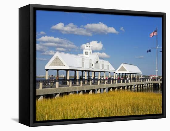 Waterfront Park Pier, Charleston, South Carolina, United States of America, North America-Richard Cummins-Framed Premier Image Canvas