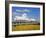 Waterfront Park Pier, Charleston, South Carolina, United States of America, North America-Richard Cummins-Framed Photographic Print