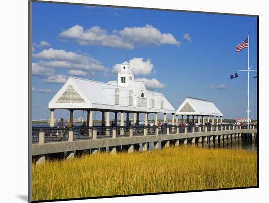 Waterfront Park Pier, Charleston, South Carolina, United States of America, North America-Richard Cummins-Mounted Photographic Print