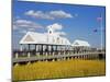 Waterfront Park Pier, Charleston, South Carolina, United States of America, North America-Richard Cummins-Mounted Photographic Print