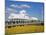 Waterfront Park Pier, Charleston, South Carolina, United States of America, North America-Richard Cummins-Mounted Photographic Print