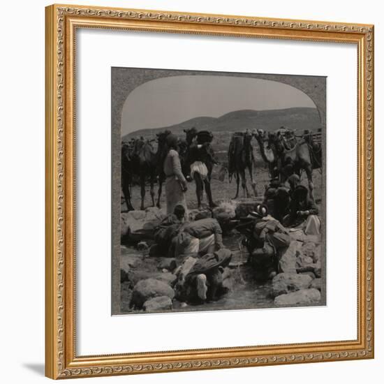 'Watering camels at Jacob's Well', c1900-Unknown-Framed Photographic Print