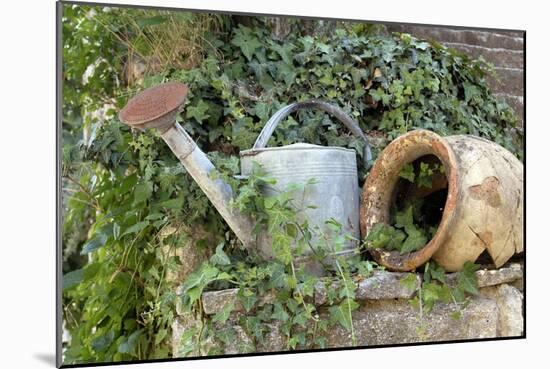 Watering Can And Broken Pot-Tony Craddock-Mounted Photographic Print