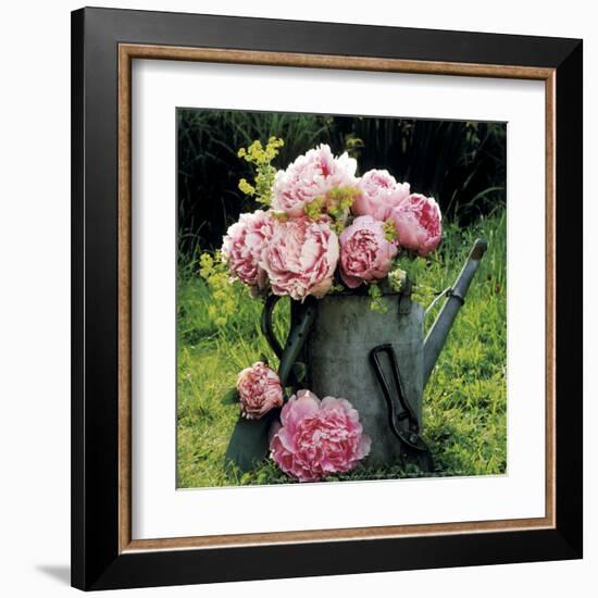 Watering Can And Peonies-James Guilliam-Framed Art Print