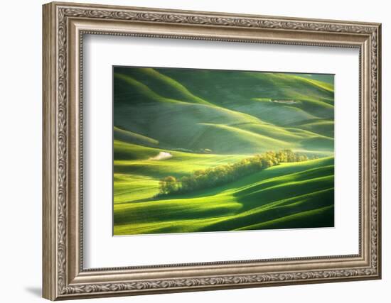 Watering-Marcin Sobas-Framed Photographic Print