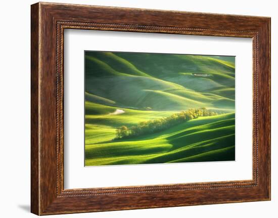 Watering-Marcin Sobas-Framed Photographic Print