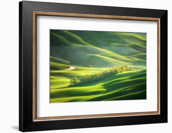 Watering-Marcin Sobas-Framed Photographic Print