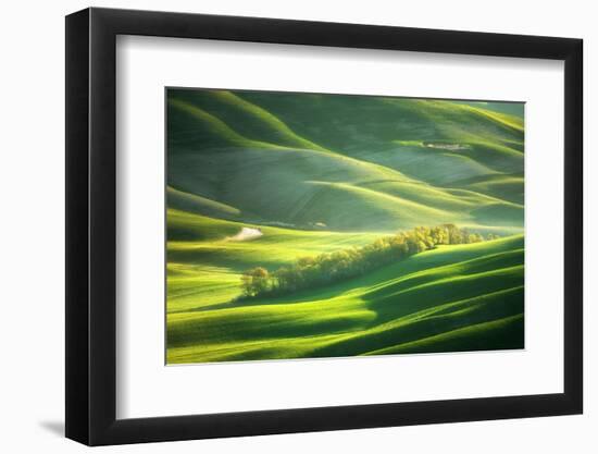 Watering-Marcin Sobas-Framed Photographic Print