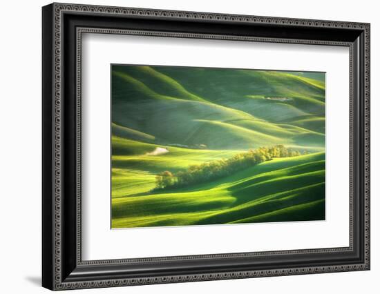 Watering-Marcin Sobas-Framed Photographic Print