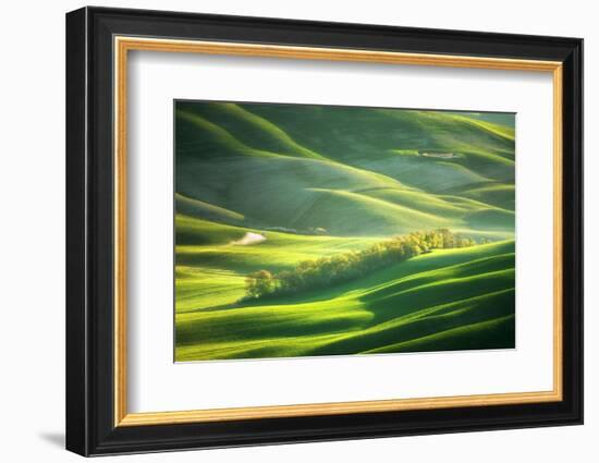 Watering-Marcin Sobas-Framed Photographic Print