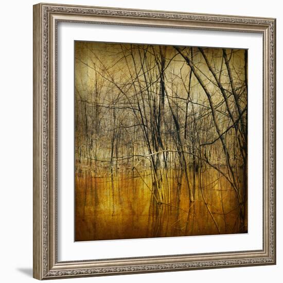 Waterlands-Irene Suchocki-Framed Giclee Print