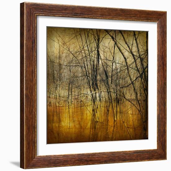 Waterlands-Irene Suchocki-Framed Giclee Print