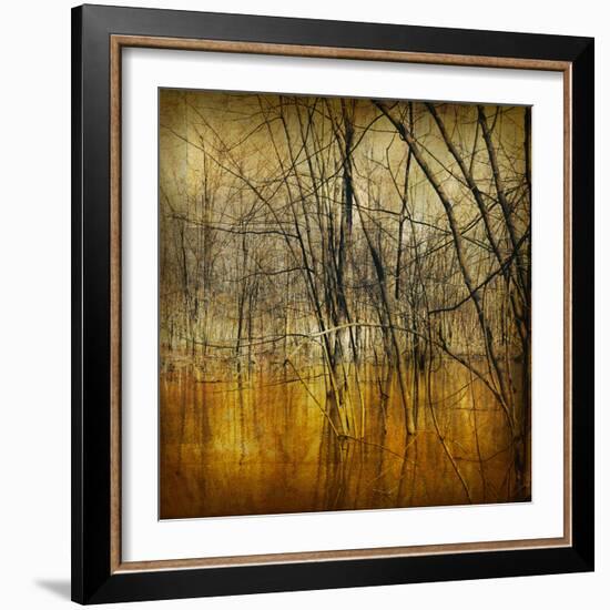 Waterlands-Irene Suchocki-Framed Giclee Print