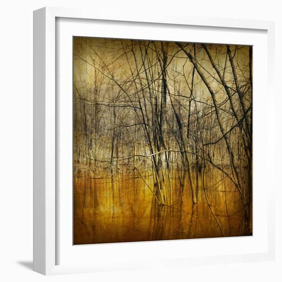 Waterlands-Irene Suchocki-Framed Giclee Print