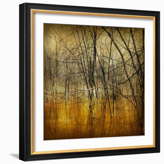 Waterlands-Irene Suchocki-Framed Giclee Print