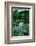 Waterlies in Front of Monet's House, Giverny, Normandy, France, Europe-James Strachan-Framed Photographic Print