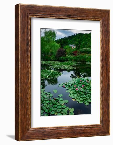 Waterlies in Front of Monet's House, Giverny, Normandy, France, Europe-James Strachan-Framed Photographic Print