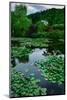 Waterlies in Front of Monet's House, Giverny, Normandy, France, Europe-James Strachan-Mounted Photographic Print