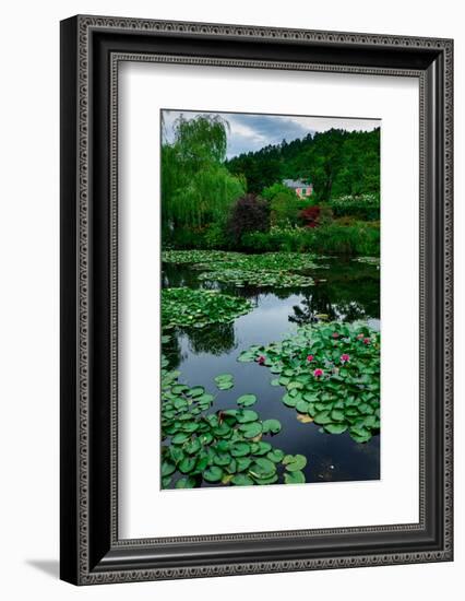 Waterlies in Front of Monet's House, Giverny, Normandy, France, Europe-James Strachan-Framed Photographic Print