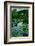 Waterlies in Front of Monet's House, Giverny, Normandy, France, Europe-James Strachan-Framed Photographic Print