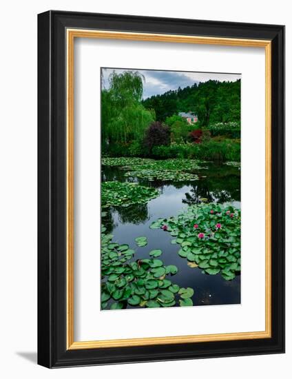 Waterlies in Front of Monet's House, Giverny, Normandy, France, Europe-James Strachan-Framed Photographic Print