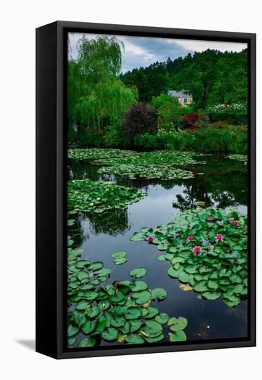 Waterlies in Front of Monet's House, Giverny, Normandy, France, Europe-James Strachan-Framed Premier Image Canvas