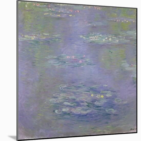 Waterlilies, 1903-Claude Monet-Mounted Giclee Print