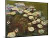 Waterlilies, 1914-17 (Detail)-Claude Monet-Mounted Giclee Print