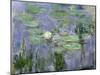 Waterlilies, 1915-Claude Monet-Mounted Giclee Print