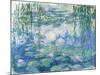 Waterlilies, 1916-19-Claude Monet-Mounted Giclee Print