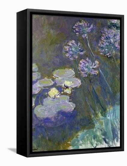 Waterlilies and Agapanthus, 1914-17-Claude Monet-Framed Premier Image Canvas