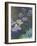 Waterlilies and Agapanthus, 1914-17-Claude Monet-Framed Giclee Print