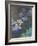 Waterlilies and Agapanthus, 1914-17-Claude Monet-Framed Giclee Print