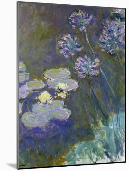 Waterlilies and Agapanthus, 1914-17-Claude Monet-Mounted Giclee Print