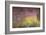 Waterlilies at Sunset, 1915-26-Claude Monet-Framed Giclee Print