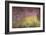 Waterlilies at Sunset, 1915-26-Claude Monet-Framed Giclee Print