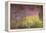 Waterlilies at Sunset, 1915-26-Claude Monet-Framed Premier Image Canvas