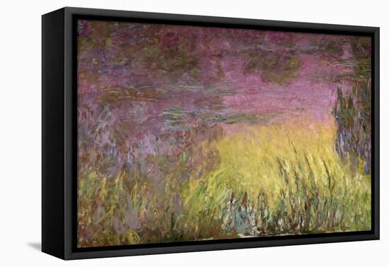 Waterlilies at Sunset, 1915-26-Claude Monet-Framed Premier Image Canvas