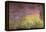 Waterlilies at Sunset, 1915-26-Claude Monet-Framed Premier Image Canvas