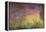 Waterlilies at Sunset, 1915-26-Claude Monet-Framed Premier Image Canvas