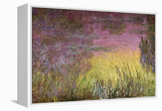 Waterlilies at Sunset, 1915-26-Claude Monet-Framed Premier Image Canvas