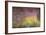 Waterlilies at Sunset, 1915-26-Claude Monet-Framed Giclee Print