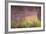 Waterlilies at Sunset, 1915-26-Claude Monet-Framed Giclee Print